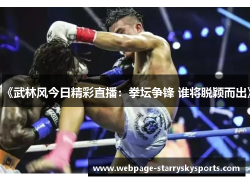 《武林风今日精彩直播：拳坛争锋 谁将脱颖而出》