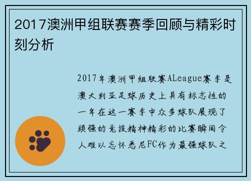 2017澳洲甲组联赛赛季回顾与精彩时刻分析